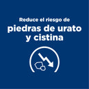 Comida Húmeda Perros Hills u/d Urinary Care 13 onz