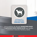 Comida Para Gato Adulto Excellent Cat Urinary
