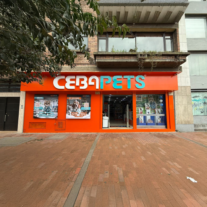 Sede Galerias