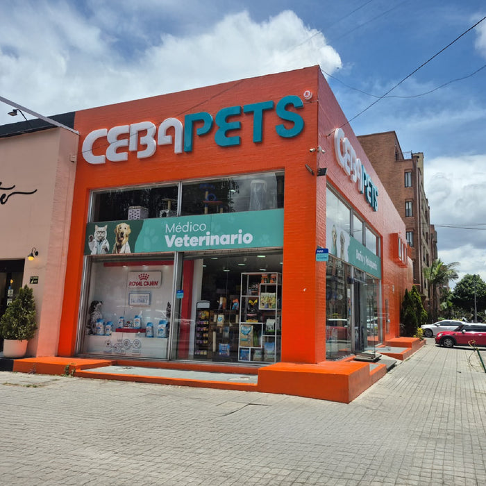 Sede Santa Barbara