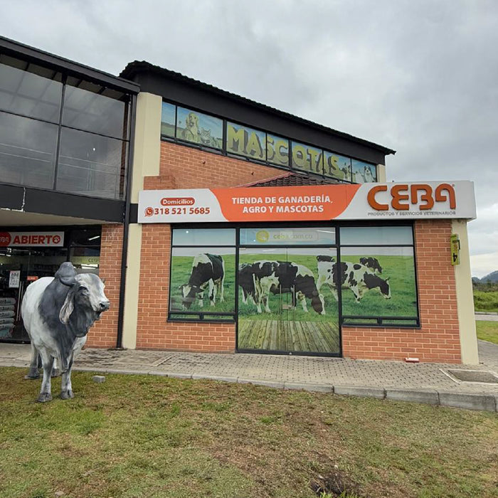 Sede Siberia