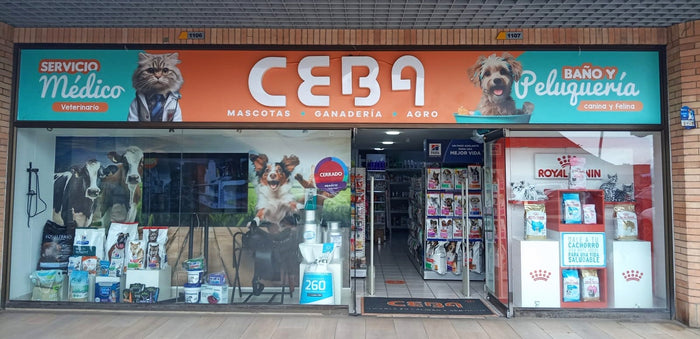 Sede Centro Chia