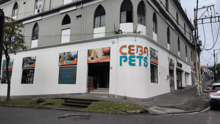 Sede Pereira
