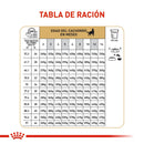 Comida Para Perro Royal Canin German Shepherd Puppy X 13.6 Kg