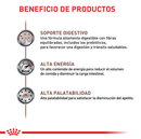 Comida Para Gato Adulto Royal Feline Gastrointestinal X 2 Kg