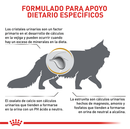 Comida Para Gato Adulto Royal Feline Urinary S/O