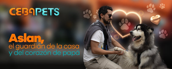 Aslan, el guardián de la casa y del corazón de papá.