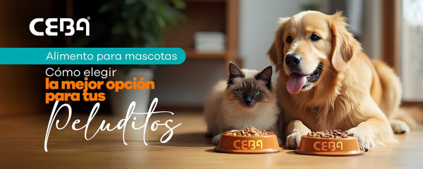 Alimento para mascotas: Cómo elegir la mejor opción para tu perro o gato