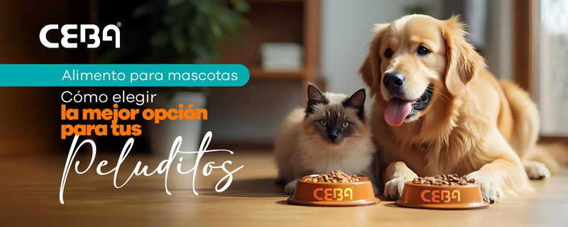 Alimento para mascotas: Cómo elegir la mejor opción para tu perro o gato