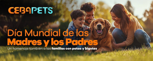 Día Mundial de las Madres y los Padres: Un homenaje también a las familias con patas y bigotes