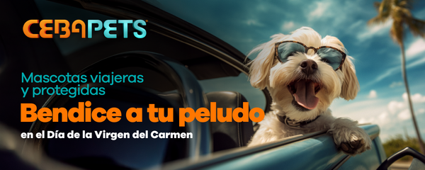 Mascotas viajeras y protegidas – “Bendice a tu peludo” en el Día de la Virgen del Carmen