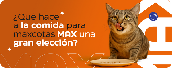 ¿Por qué la comida para mascotas Max es la elección inteligente para tu mejor amigo?