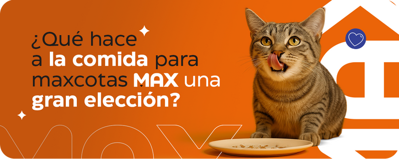 ¿Por qué la comida para mascotas Max es la elección inteligente para tu mejor amigo?