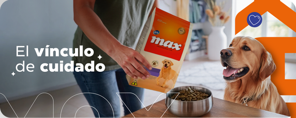 Desmintiendo mitos de la comida 'Light' para Perros