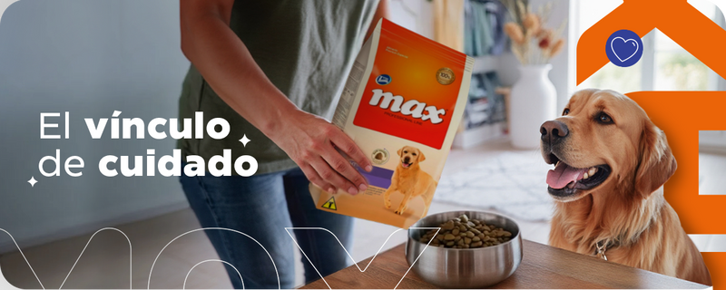 Desmintiendo mitos de la comida 'Light' para Perros