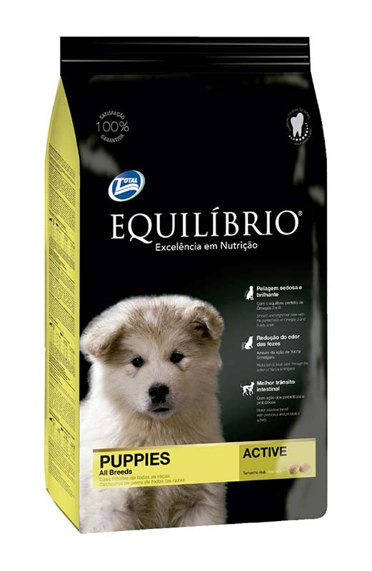 EQUILIBRIO PUPPIES ACTIVE