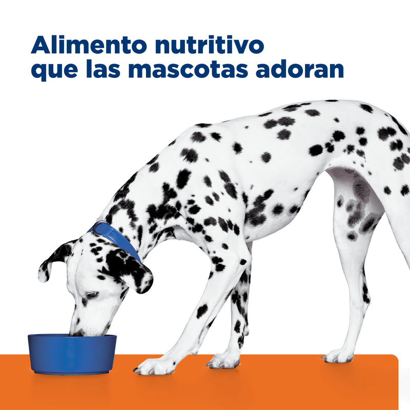 Comida Húmeda Perros Hills u/d Urinary Care 13 onz