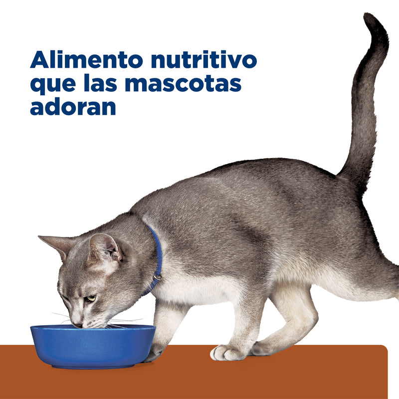Comida Húmeda  para gatos Hills Prescription Diet k/d Cuidado Renal 5,5 Onz
