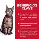 Comida húmeda para gato Feline Adulto Pouch Pollo 79 g