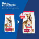 Comida perro Hills Adulto Razas Medianas Cordero