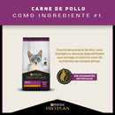 Comida Para Gato Pro Plan Cat Urinary