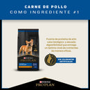 Comida Para Perro Pro Plan Adulto Raza Pequeña Active Mind 7 +