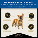 Comida Para Perro Pro Plan Adulto Raza Pequeña Active Mind 7 +