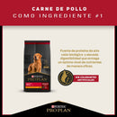 Comida Para Perro Pro Plan Adulto Raza Mediana