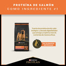 Comida Para Perro Pro Plan Sensitive Skin Razas Medianas Y Grandes