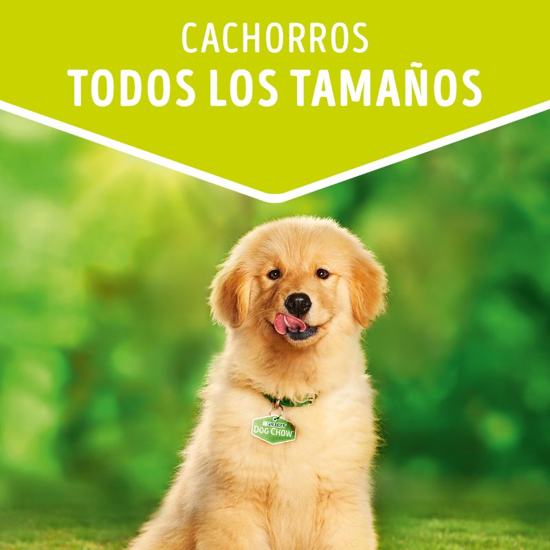 DOG CHOW CACHORROS POUCH POLLO X 100 GR