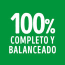 Comida Húmeda Para Perro Dog Chow Pouch Carne X 100 Gr