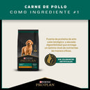 Comida Para Perro Pro Plan Puppy Raza Mediana