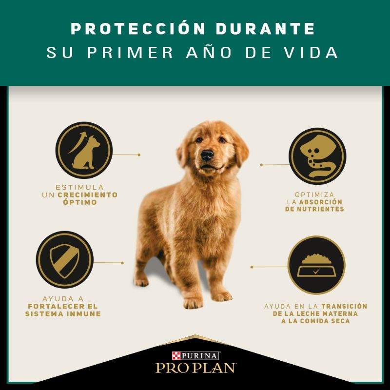 PRO PLAN PUPPY RAZA MEDIANA