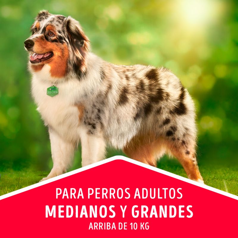 DOG CHOW ADULTOS RAZAS MEDIANAS Y GRANDES