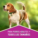 Comida Para Perro Adulto Dog Chow Longevidad + 7