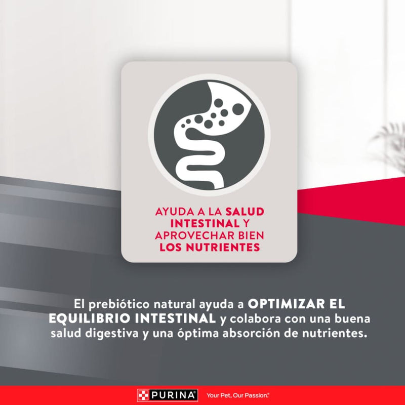 Comida Para Perro Excellent Adulto Small Breed