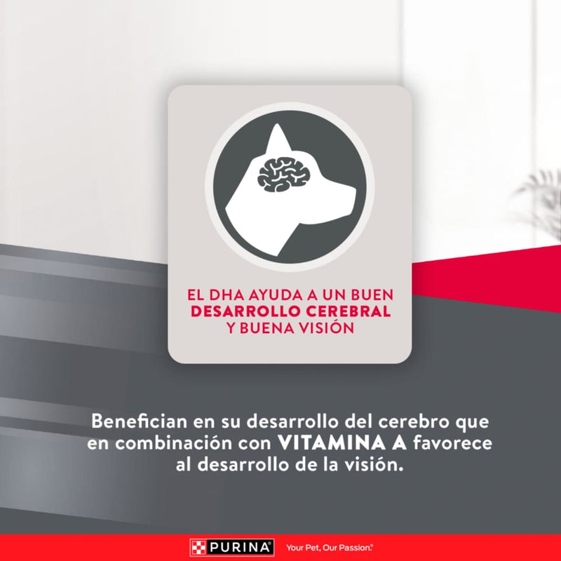 Comida Para Perro Excellent Puppy Razas Medianas y Grandes