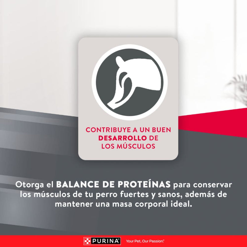 EXCELLENT ADULT MANTENIMIENTO FORMULA 3 KG