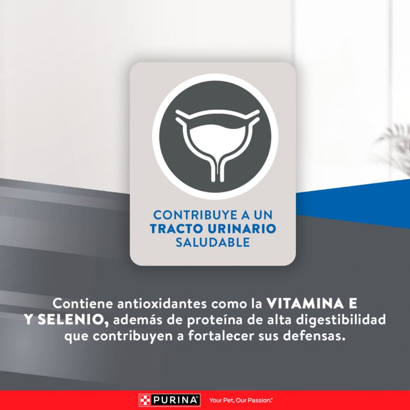 Comida Para Gato Adulto Excellent Cat