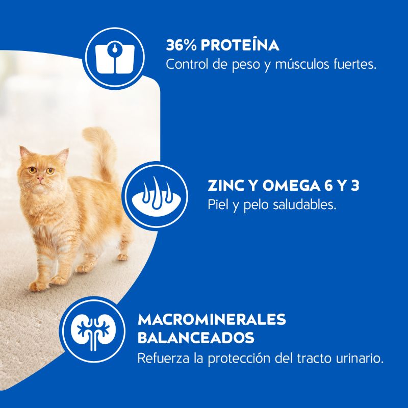 CAT CHOW ESTERILIZADO