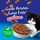 Comida Para Gatitos Felix Megamix