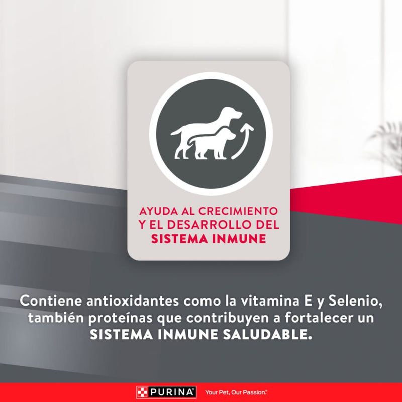 Comida Para Perro Excellent Puppy Small Breed