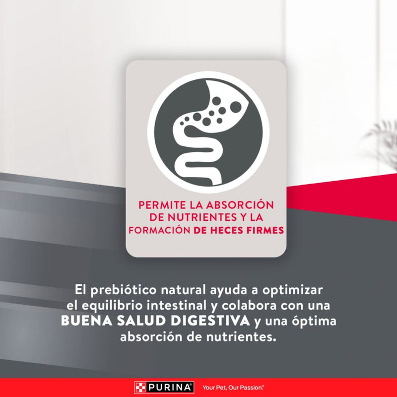 Comida Para Perro Excellent Puppy Small Breed