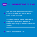 Collar Yoos perros Talla S