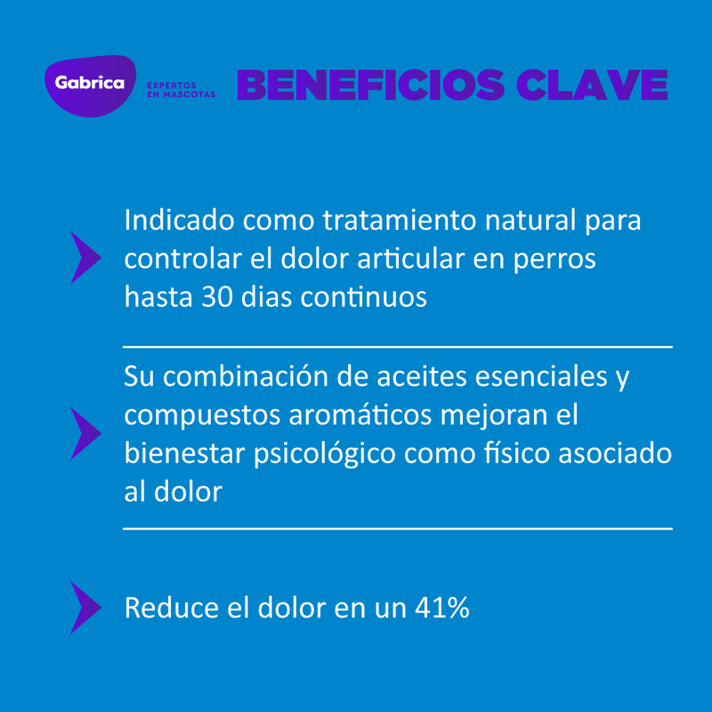 Collar Yoos perros Talla S