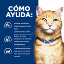Comida para gato Hills c/d Multicare Pollo 4 Lbs