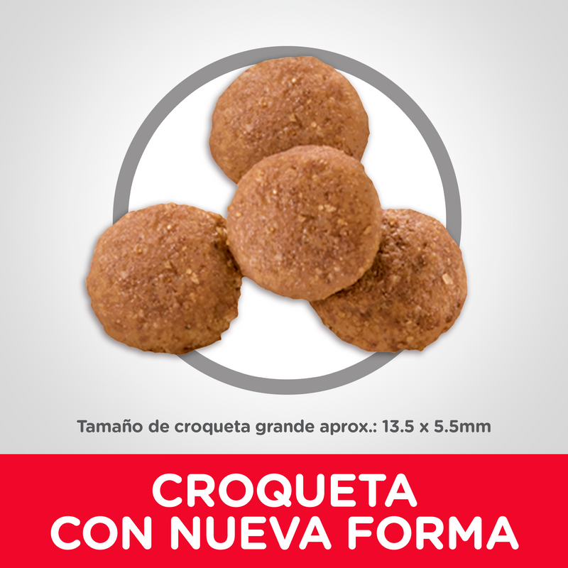 Comida para perros Hills Cachorros Razas Grandes  15,5Lbs