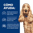 Hill's z/d comida perro sensibilidades alimentarias