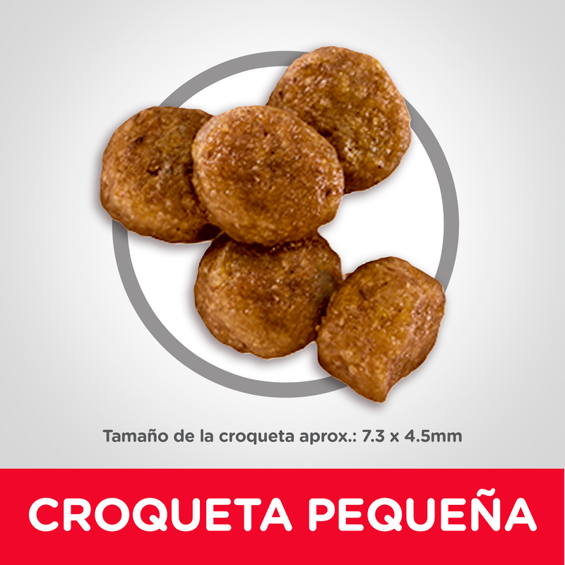 Comida para perros Hills Cachorros Razas Medianas  4,5Lbs a 27,5Lbs