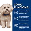 Hill's z/d perro sensibilidades razas pequeñas